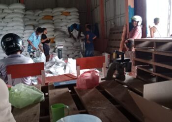 Harga Beras Naik, Warga Lembata Serbu Gudang Bulog Lewoleba