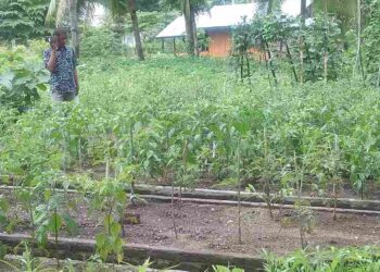 Sukses Buka Hadakewa Night Paradise, Pemdes Hadakewa Usung Konsep Wisata Baru Berbasis Agrowisata