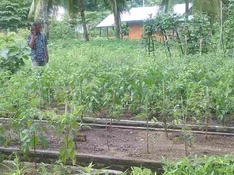 Sukses Buka Hadakewa Night Paradise, Pemdes Hadakewa Usung Konsep Wisata Baru Berbasis Agrowisata