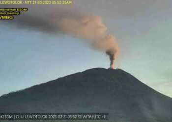 Gunung Ile Lewotolok di Lembata Meletus, Hujan Abu Landa Sejumlah Desa