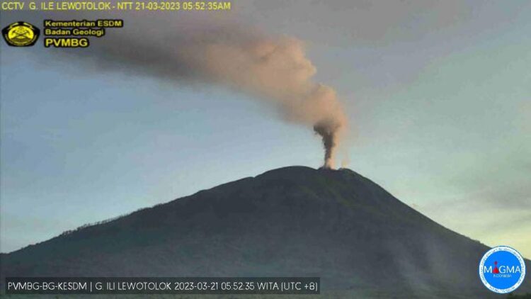 Gunung Ile Lewotolok di Lembata Meletus, Hujan Abu Landa Sejumlah Desa