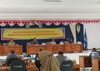 Perencanaan dan Pengawasan Tidak Berjalan, DPRD Lembata Minta Pemda Hentikan Dua Proyek DAU di Lewoleba