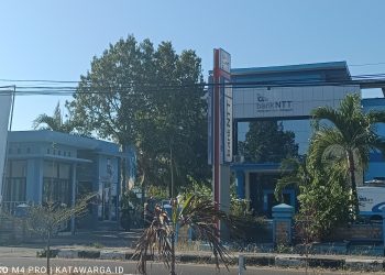 Uang 21 Juta Lebih di Rekening Nasabah Bank NTT Lewoleba Lenyap, Ini Deretan Kasusnya