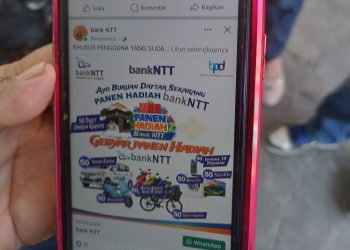 Uang Rosi Leonardus Raib di Rekening, Bank NTT Sebut Kena Modus Penipuan Undian Gebyar Hadiah