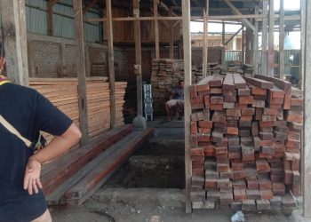 Pengusaha ini Diduga Selundupkan Kayu Ilegal untuk Dijual di Lembata