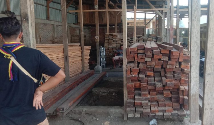 Pengusaha ini Diduga Selundupkan Kayu Ilegal untuk Dijual di Lembata