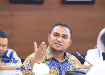 Ini Dua Alasan Angelius Wake Kako Bertarung Kembali Menjadi Anggota DPD RI