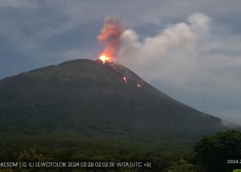 Gunung Ile Lewotolok Naik Status Jadi Siaga, Pemerintah Gelar Rapat Terbatas