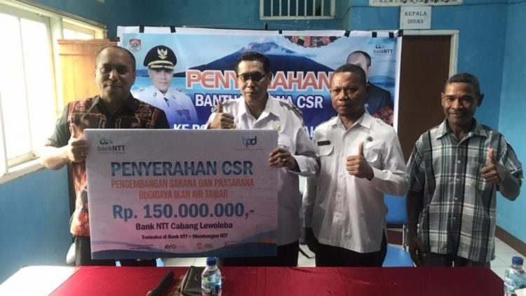 Bank NTT Cabang Lewoleba Gelontorkan CSR Rp 150 Juta untuk Kelompok Budidaya Ikan Air Tawar di Lembata