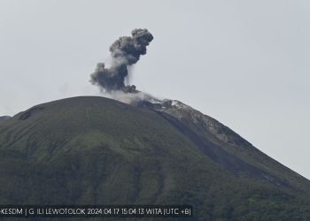 Sudah Sepekan Hujan Abu Vulkanik Ile Lewotolok Landa Enam Desa, Pengamat Gunung Imbau Warga Waspada