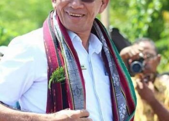 Mendaftar Bakal Calon Bupati, Petrus Manuk Ingin Penuhi Koalisi 20 Persen, Ini Respon Petinggi Parpol