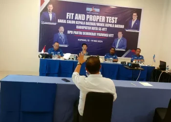 Demokrat NTT Gelar Fit and Proper Test, 76 Bakal Calon Ikut, Jadwal Lembata Hari Jumat 17 Mei