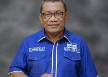 BREAKING NEWS-Beredar Kabar, Thomas Ola Sudah Kantongi SK Calon Bupati dari DPP Demokrat