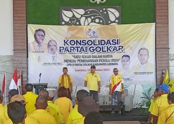 Petrus Gero, Sosok Politisi Berkelas yang Layak Pimpin Lembata