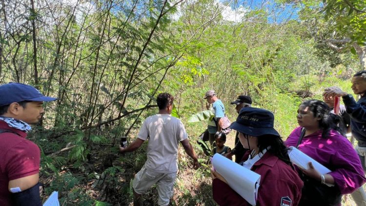 PLN Berhasil Identifikasi Kepemilikan Lahan dan Inventarisasi Tegakan Proyek PLTP Atadei