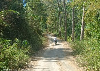 Warga dan Kepala Desa Sebut Jalan Banitobo-Lamalela Dukung Aksesibilitas; Tiga Orang Tersandung Korupsi