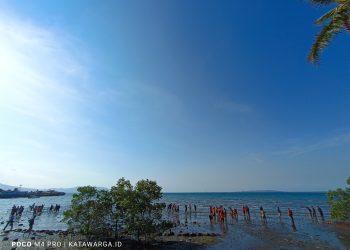 Peringati HUT OTDA Lembata Ke-25, Ratusan Siswa SD dan SMP di Lewoleba Tanam Mangrove
