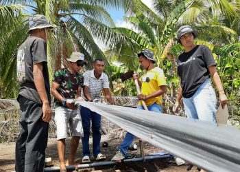 Belasan Anak Muda Lembata Belajar Pertanian Cerdas Iklim Bersama Plan Indonesia di Desa Wowong