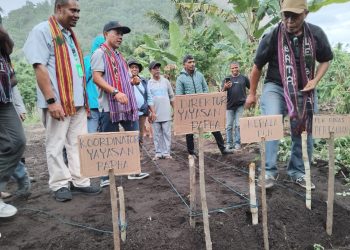 Kolaborasi PLN dan Yayasan PAPHA Desain Program Penguatan Ekonomi Masyarakat Nubahaeraka