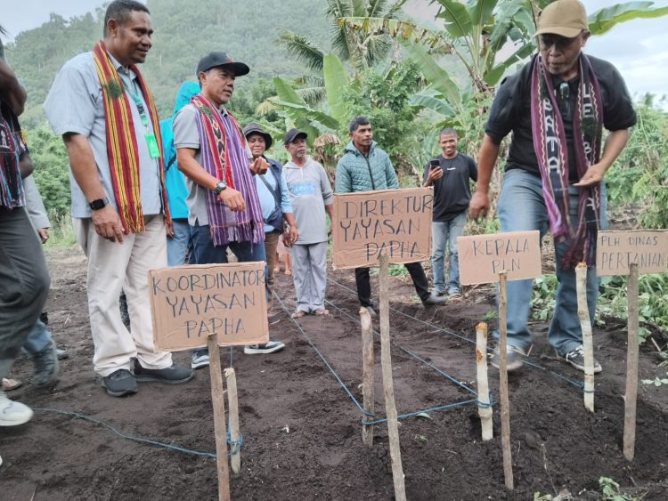 Kolaborasi PLN dan Yayasan PAPHA Desain Program Penguatan Ekonomi Masyarakat Nubahaeraka