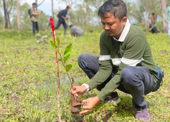PLN UIP Nusra dan UPT KPH Wilayah TTS Tanam Ratusan Pohon