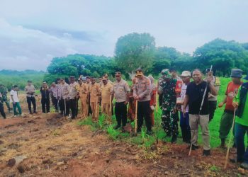 Anggota DPRD Lukman Laba Apresiasi Program Prabowo Tanam Jagung 1 Juta Hektar di Lembata