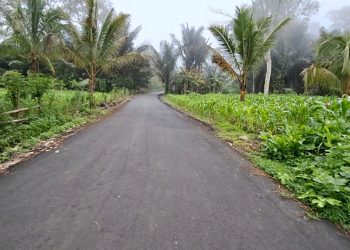 Selain Fokus Urus Geothermal, PLN Juga Ikut Benahi Infrastruktur Jalan di Mataloko