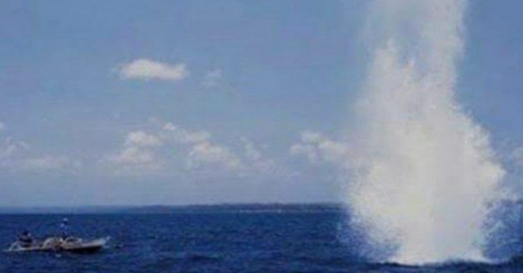 Pengeboman Ikan Kembali Terjadi di Lembata, Perairan Desa Waowala Jadi Lokasi Terbaru