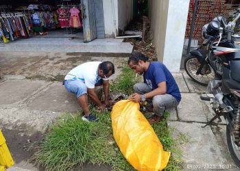 Bakti Sosial Warnai HPN 2025 di Lembata, Ada Talk Show Angkat Sejumlah Isu Sosial