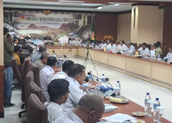 Gubernur NTT Dorong Pembentukan Tim Penanganan Isu Sosial Pengembangan Panas Bumi
