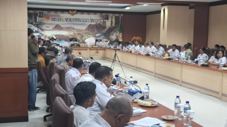 Gubernur NTT Dorong Pembentukan Tim Penanganan Isu Sosial Pengembangan Panas Bumi
