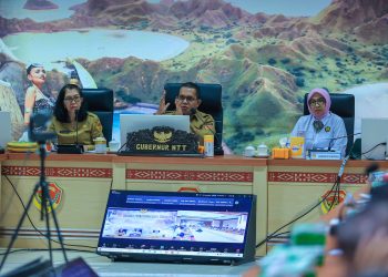 Gubernur NTT Ingin Manfaat Energi Panas Bumi Sejahterakan Masyarakat