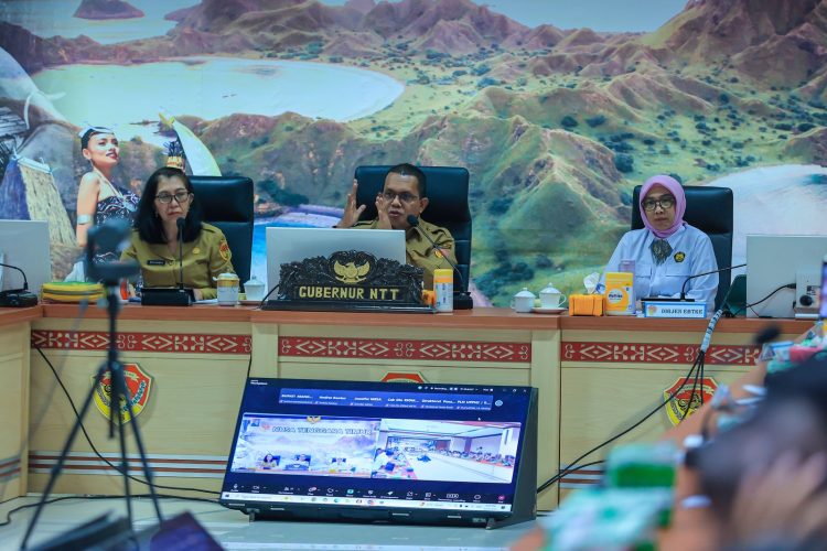 Gubernur NTT Ingin Manfaat Energi Panas Bumi Sejahterakan Masyarakat