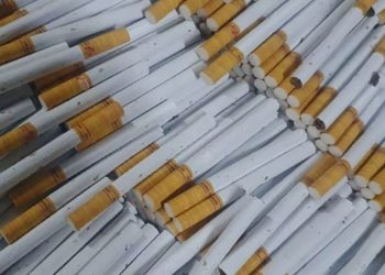 Pengusaha Besar di Lembata Diduga Bebas Edarkan Rokok Ilegal, Nama Roby Mencuat