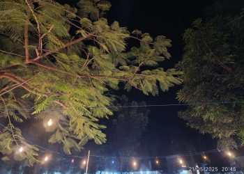 Taman Swaolsa Dikuasai Timses Kanis-Nasir, Bukti Nyata Politik Balas Jasa dan Pembajakan Aset Negara