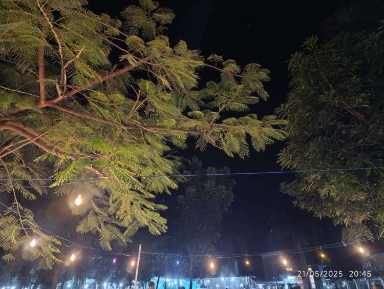 Taman Swaolsa Dikuasai Timses Kanis-Nasir, Bukti Nyata Politik Balas Jasa dan Pembajakan Aset Negara