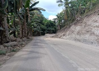 Jalan Mulus di Ujung Penantian, Pegunungan Adonara Barat Akhirnya Keluar dari Isolasi