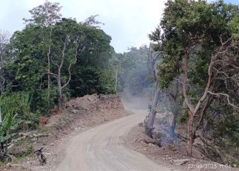 Warga dan Camat Puas, Proyek Hotmix Jalan Adonara Barat Digarap Serius, Kontraktor Utamakan Kualitas