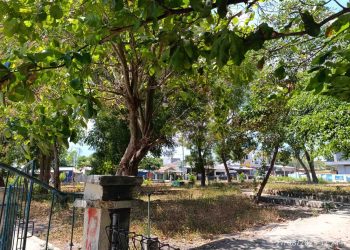 Kota Lewoleba Makin Kotor dan Kumuh, Siapa yang Salah?