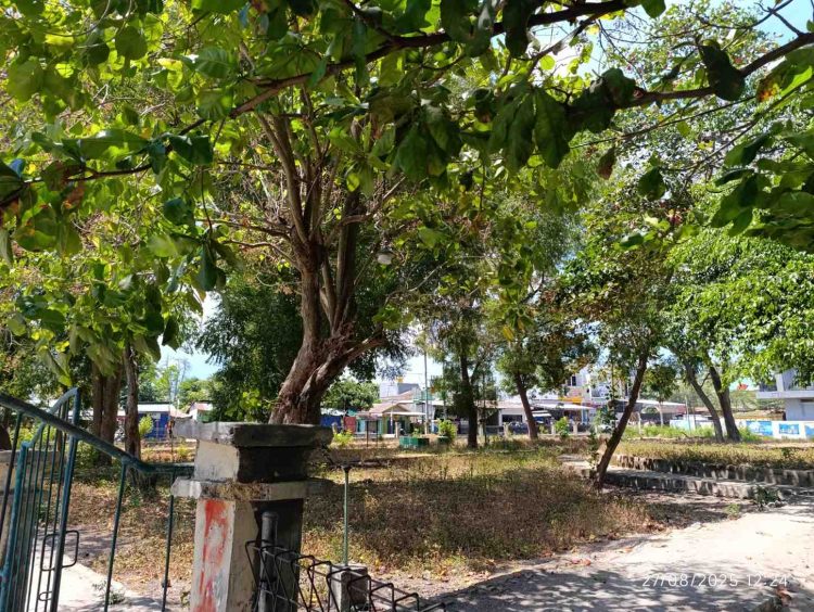 Kota Lewoleba Makin Kotor dan Kumuh, Siapa yang Salah?