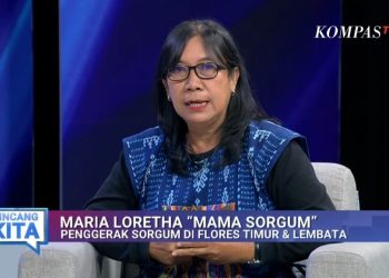 Maria Loretha: Mama Sorgum dari Adonara, Penanam Harapan untuk Pangan Nusantara