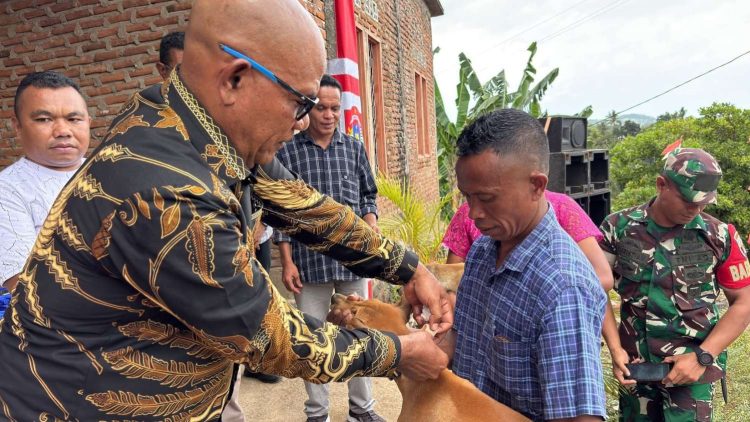 Bupati Kanis Tuaq Canangkan Lembata Bebas Rabies 2030
