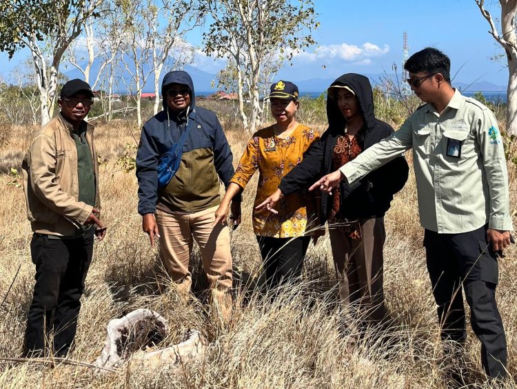 PLN Kantongi Pertek KKPR PLTS Lembata, Langkah Nyata Dorong Transisi Energi
