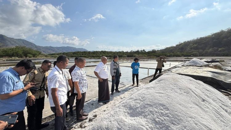 Bupati Kanis Tinjau Perluasan Tambak Garam di Tapobaran, Target 2028 Lembata Mandiri Garam