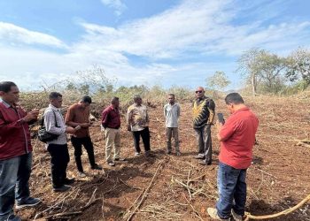 Pemkab Lembata Sulap Hutan Wuakerong Jadi Lahan Pertanian