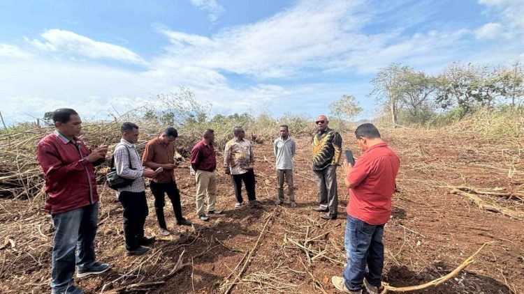 Pemkab Lembata Sulap Hutan Wuakerong Jadi Lahan Pertanian
