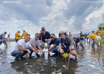 Menanam Harapan di Pesisir Merdeka, PT Cendana Indopearls Tebar Cinta untuk Bumi