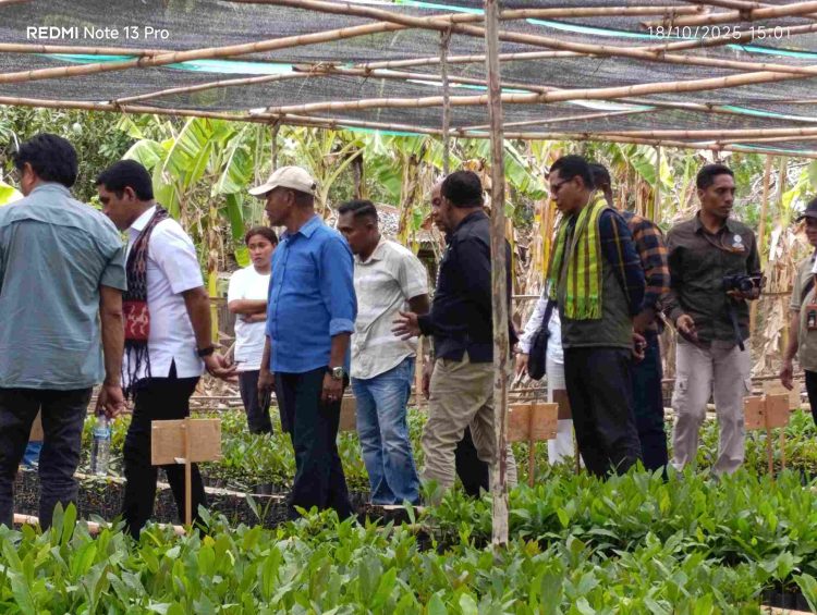 AYO Kunjungi Lembata, Tinjau KBR dan Serahkan Kartu E-Kusuka untuk Nelayan