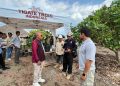 Bupati Lembata Jajaki Kerjasama Investasi dengan PT Tigate Trees Indonesia