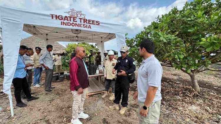 Bupati Lembata Jajaki Kerjasama Investasi dengan PT Tigate Trees Indonesia